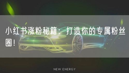 小红书涨粉秘籍：打造你的专属粉丝圈！