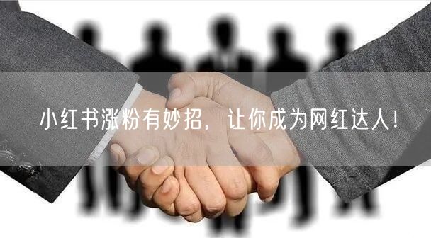 小红书涨粉有妙招，让你成为网红达人！